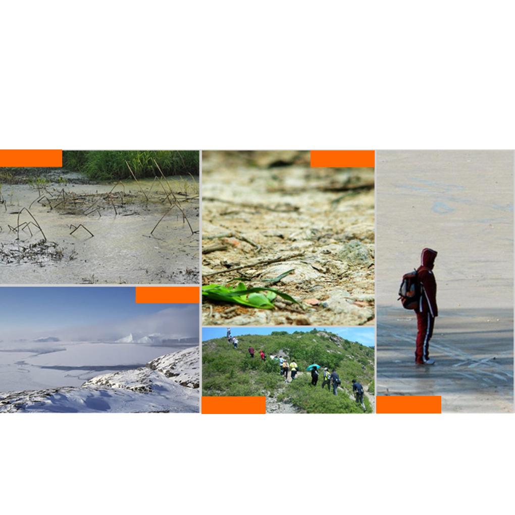 Cleats Anti-Slip Boot Shoes Covers Studded Traction Spike Crampons Snow Ice