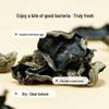 LuDi Dongning Northeast Black Fungus