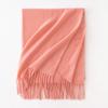 Cashmere Feel Solid Color Women's Imitation Cashmere Scarf Spring Atmosphere Korean Style Versatile Mid Length Shawl Scarf
