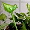 Automatic Watering Bulb Bird Design Self Watering Globes Planter Insert Watering Bulb