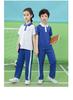 Shenzhen School Uniform Set: Quick-Dry, Antibacterial, Odor-Resistant Shorts, Pants, and T-Shirt
