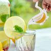 Lemon Juicer Cute Bird Manual Juicer Fruit Juicer Bird Shaped Transparent Simple Fruit Juicer Citrus Orange Lemon Juicer