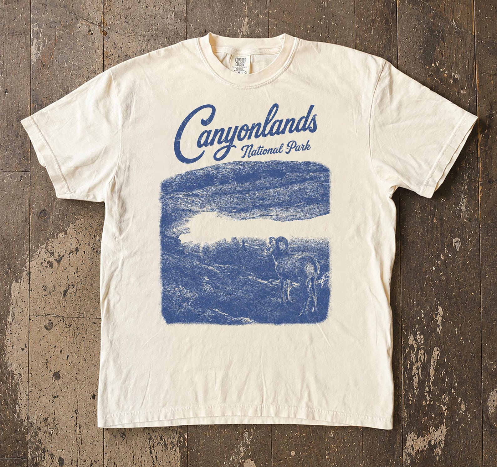 Comfort Colors Canyonlands National Park Graphic Tee, Retro Southwest Desert Shirt L