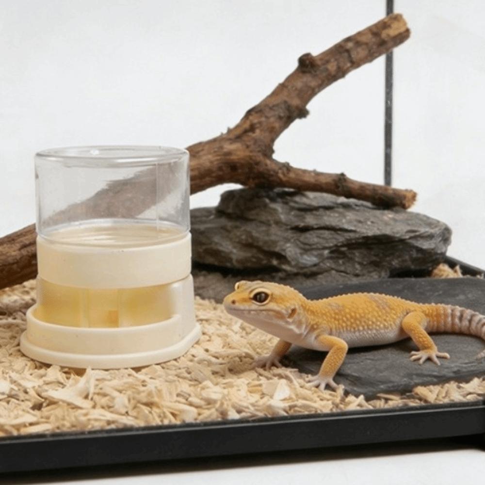 Detachable Reptiles Water Feeder Plastic Turtle Water Bowl Reptile Water Dispenser Tank Landscape