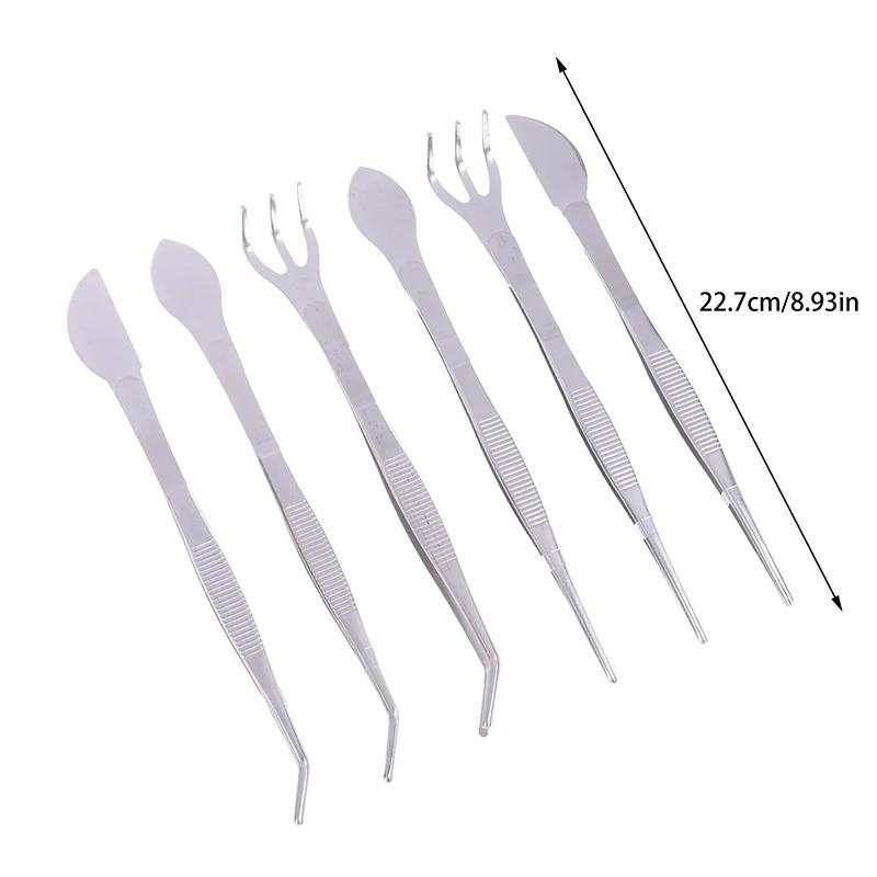 2-in-1  304 Stainless Steel Root Rake with Bonsai Tweezers with Ergonomical Handle Soil Farming Tool for Succulents Crafting