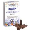 Backflow Incense Cones Aromatherapy 12 Pack Stamford