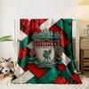 Woven red, green, and white textured pattern with a central crest. for all seasons blanket lunch break throw gift
