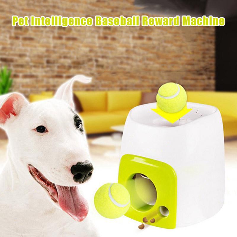 dog ball throwing machine