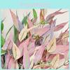 Realistic Plant Silk For Home Decoration Wedding Photography Greenery Lifelike