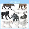 Realistisches Afrikanisches Löwen- und Frettchen-Figuren-Set mit majestätischen Tiermodellen