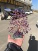 Amethyst Tree on Cluster Base - Ornament & Home Decoration Gift