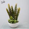 Oulifei Premium Artificial Tropical Succulent Cactus Bonsai for Home Decor