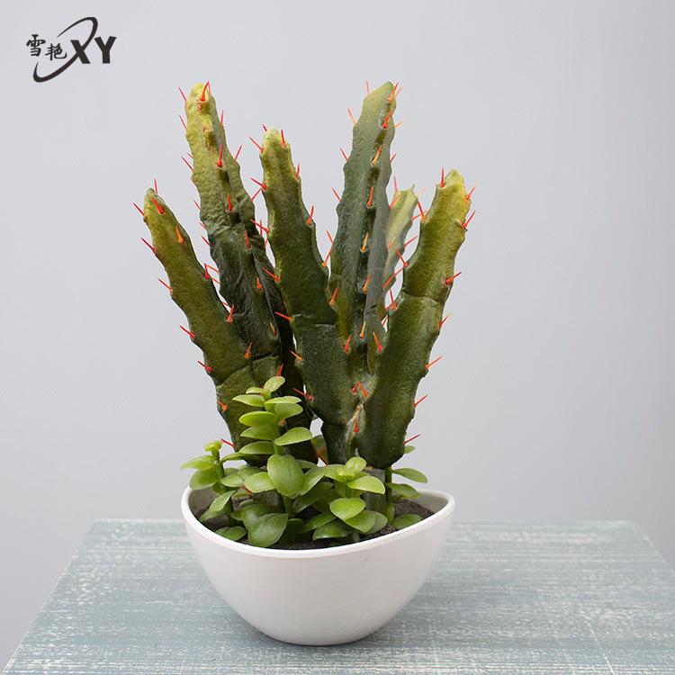 Oulifei Premium Artificial Tropical Succulent Cactus Bonsai for Home Decor