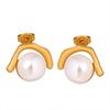 18K Gold Plated Imitation Pearl & Titanium Steel Earrings for Women