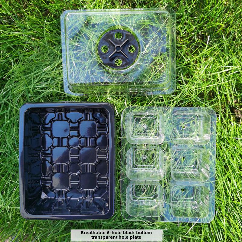 Gardening Seedling Tray Set: 6-Hole & 12-Hole Trays with Air Vents and Switchable Lids - 3 Pieces