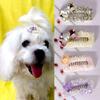 Handmade Diamond Dog Hair Clip for Yorkshire Terrier & Maltese - Pet Headdress and Hair Accessory