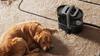 Wet and Dry Carpet and Upholstery Vacuum Cleaner with Steam Cleaning