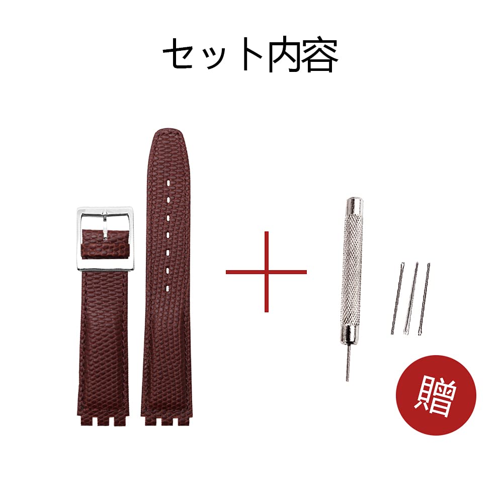 ZHUOLEI Swatch Watch Strap, 17mm/19mm, Brown, Includes 3 Spring Bars, Spring Bar Remover, and Box
