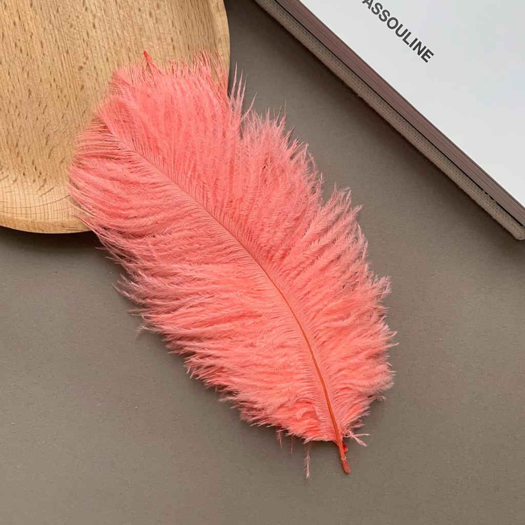 Color ostrich hair 15-20CM ostrich feather Internet celebrity photo background wall feather cake flower arrangement DIY decoration
