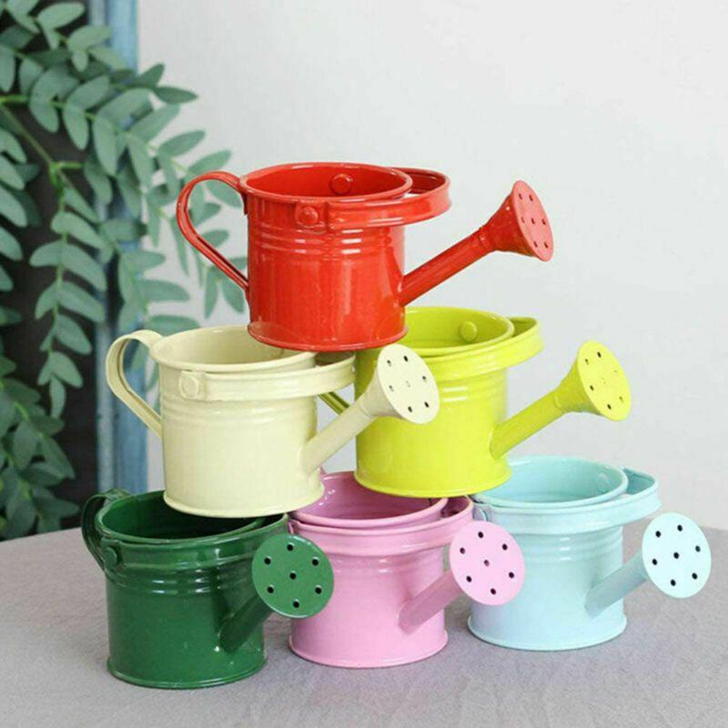 Flower Kettle Mini Water Spraying Metal Pot Watering Bottle Home Garden Decor