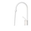 Yipan Brushed Gold Single-Handle Basin Faucet