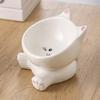 Elevated Cat Bowls Cat Food Bowl Tall Ceramic Tilted Dish Pet Feeding Dish Pet Animal Ceramic Eating Dishes cat Food Water Bowl