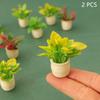 2Pcs Doll House Home Garden Decor Toy Accessories 1:12 Dollhouse Miniature Green Leaf Potted Plants Flowerpot Bonsai Model