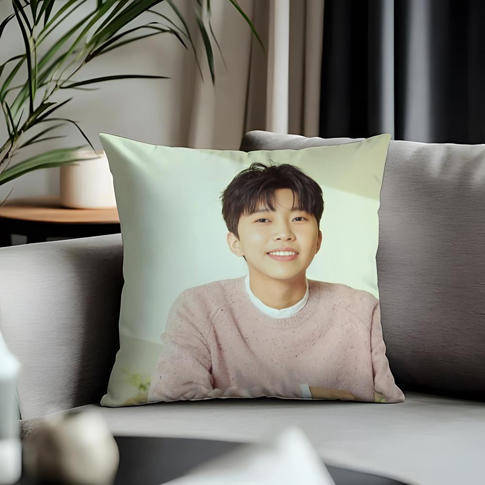 Trending LLlim Young Woonged Cushion Cover Antidustmite Pillowcase Invisible Zipper Silky Short Plush Sofa Cushion Cover
