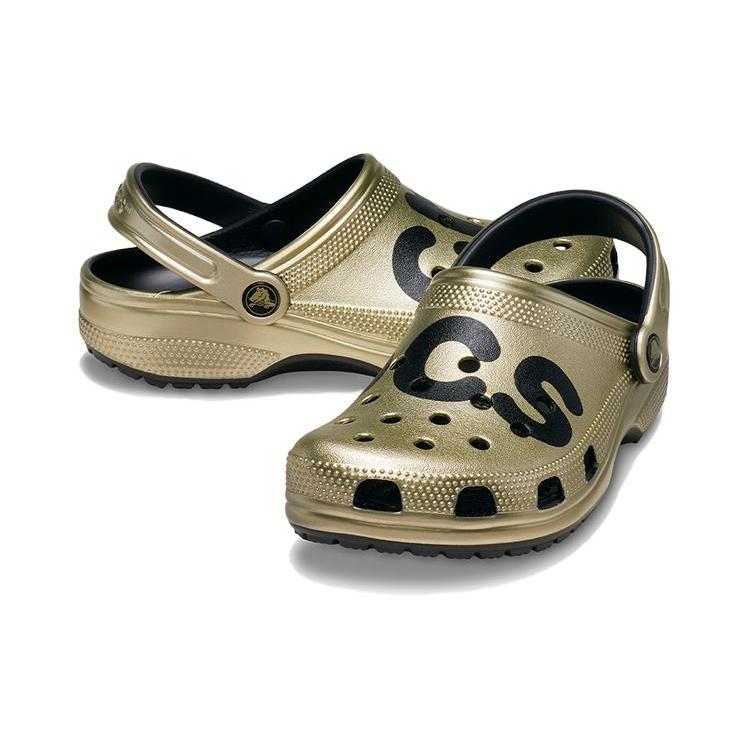 Crocs Clogs Unisex 210803-797