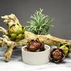 Faux Fruit Kitchen Faux Artichokes Artificial Decorations Artificial Artichoke Home Decorations