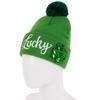 New Irish Embroidered Green Wool Hat for St. Patrick's Day Party Costume