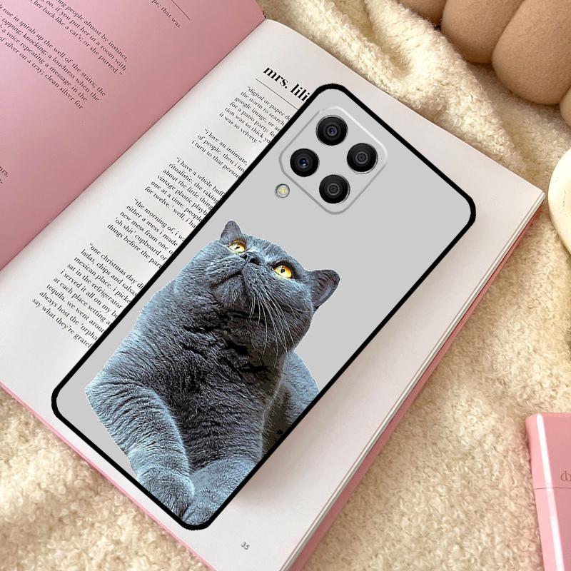 British Shorthair Cat Case For Samsung Galaxy M21 M12 M13 M14 M15 M06 M16 M36 M56 M31 M53 M32 M52 M35 M55 M34 M54