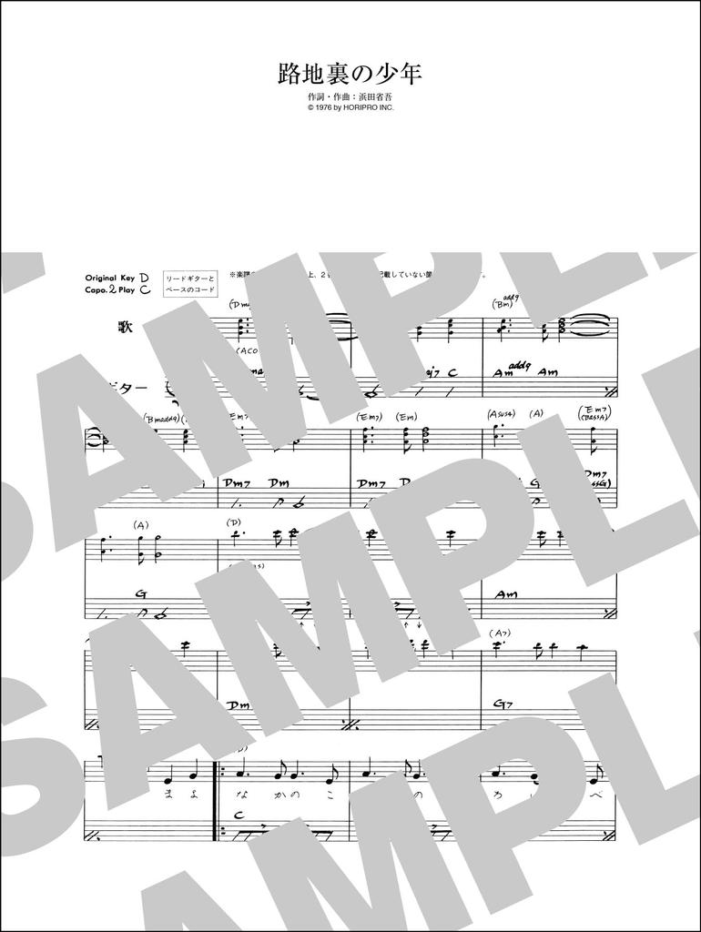 Shogo Hamada Guitar and Vocal Collection Preservation Wide / (permanent Version)