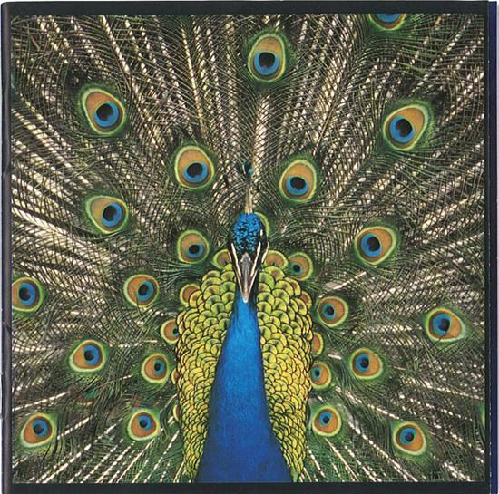 

CD BLUETONES - Expecting To Fly POCM1155PROMO A&M Records, Su 1996 Japan ObiRock Used