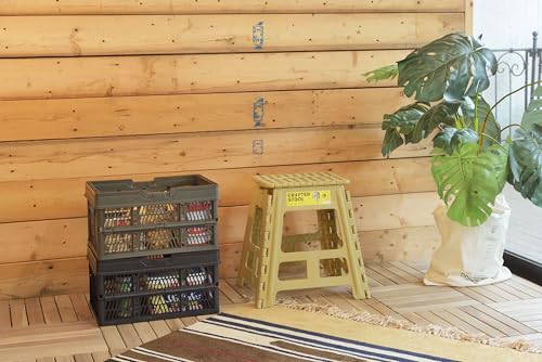 Azumaya-kk Touch Box LFS-31BK, Black, 38cm Wide X 26cm Deep X 20cm High