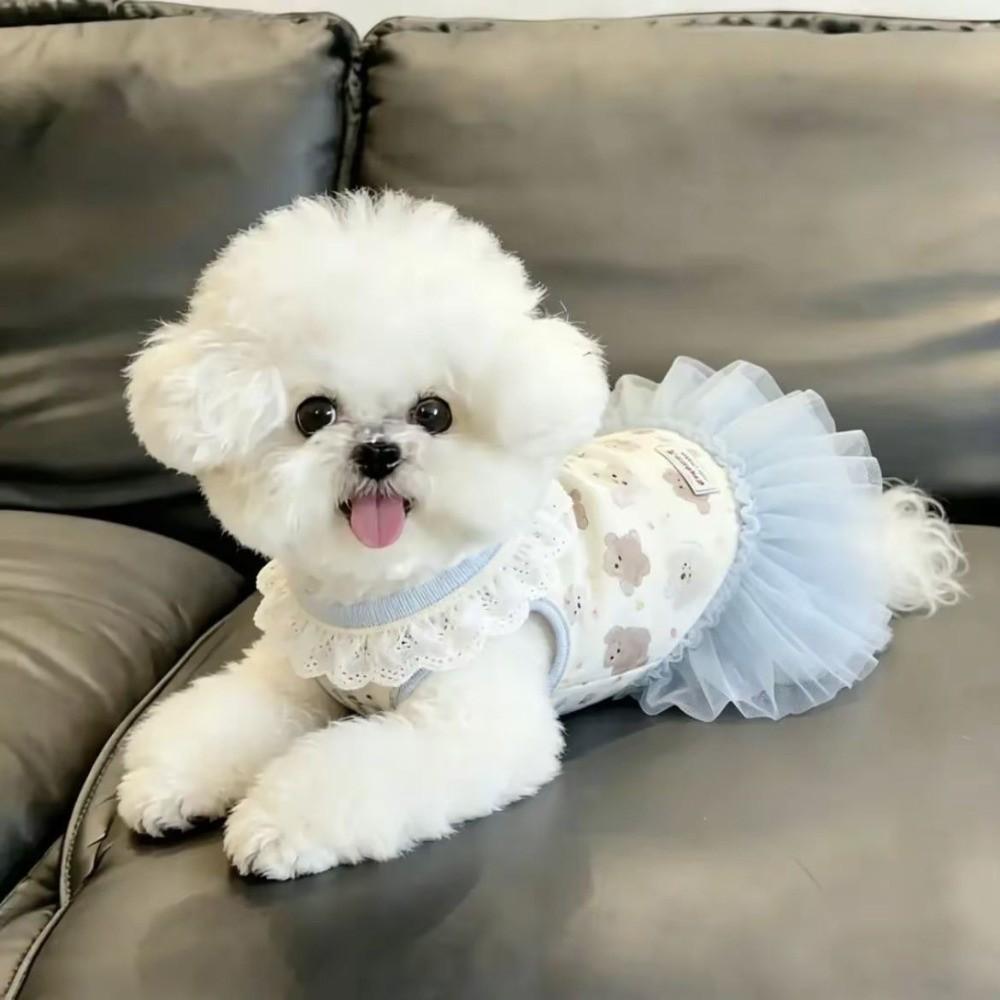 Soft Thin Summer Dog Dress Cute Style Princess Dress New Teddy Dog Skirt for Small Dogs