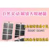 LuxeFlutter - Assorted Dense Multipack False Eyelashes