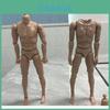 Threeq 1/6 Plastic Male Figure Body Model With Interchangeable Neck And Realistic Details