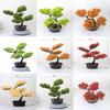 Home Decor Artificial Pine Tree With Plastic Material For Living Room And Office Display