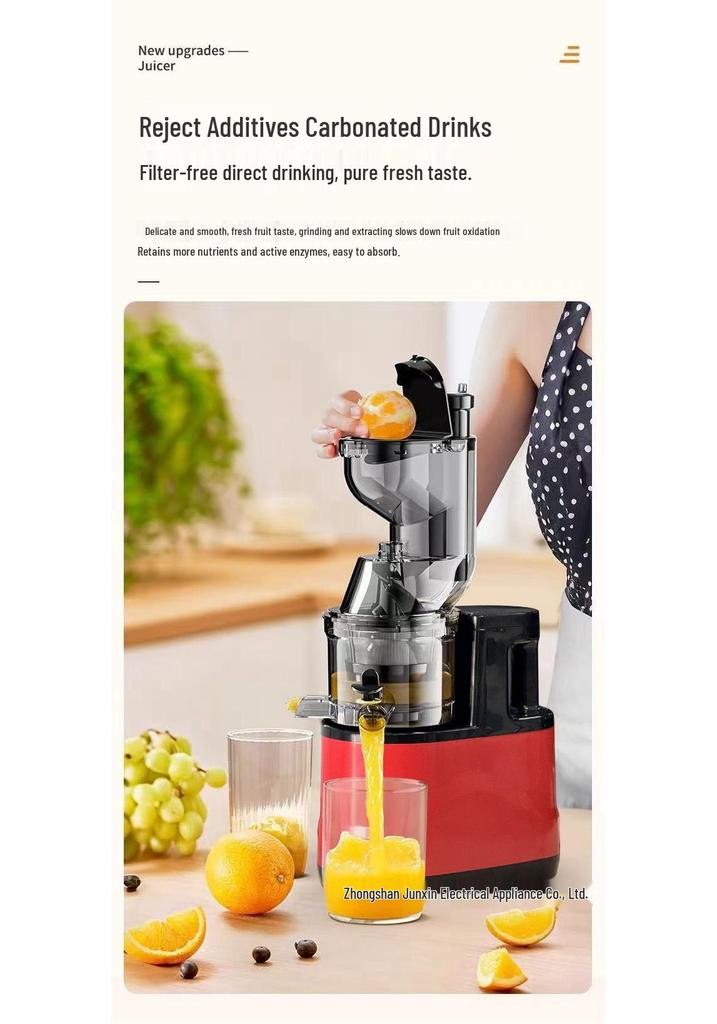 Automatic Small Household & Commercial Juicer with Pulp Separator
