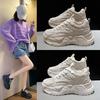 New Spring and Autumn Fashion Casual Daddy Shoes Female Korean Ins Popular Net Red Slimming Student Leisure Sneaker
