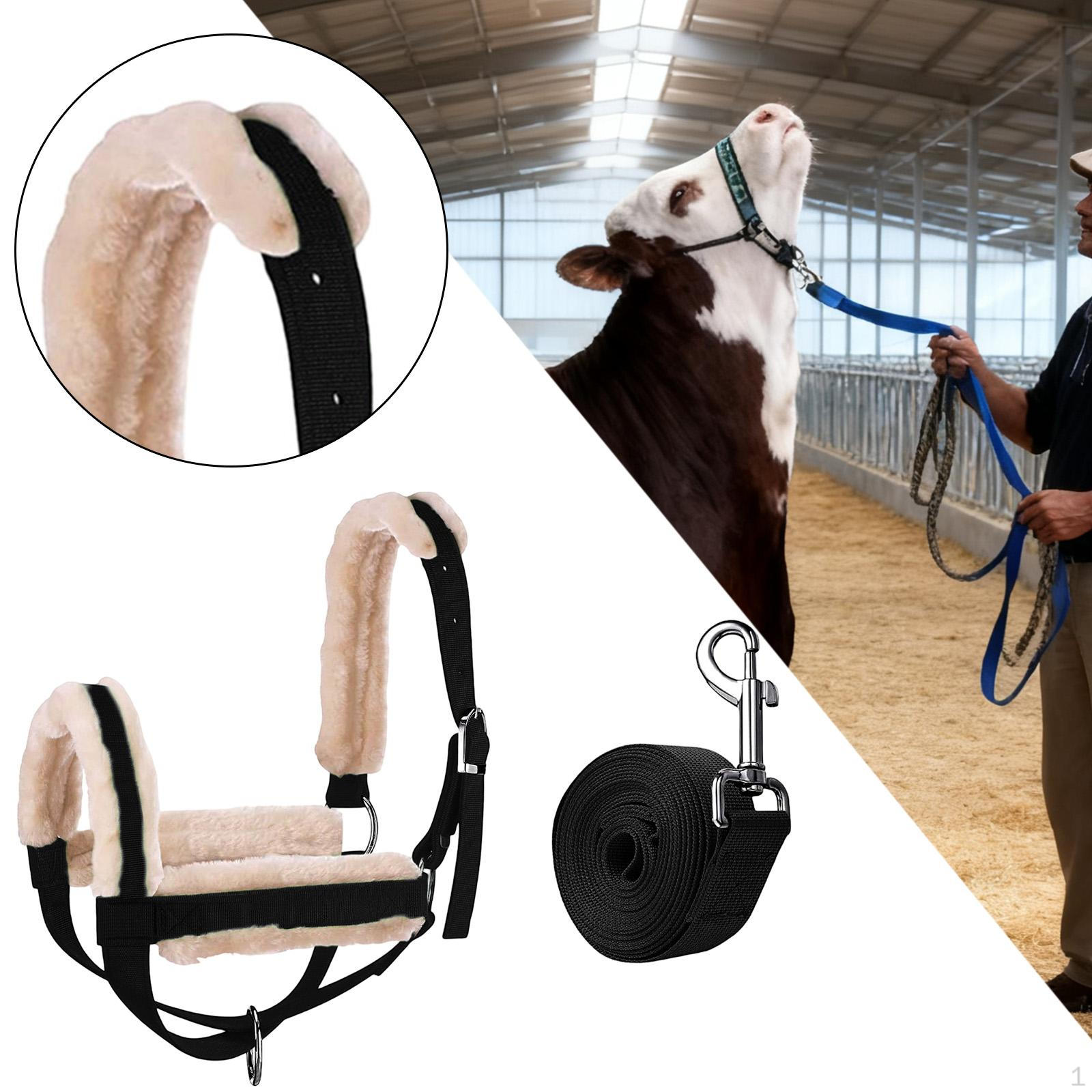 

Вуздечка для великої рогатої худоби та повід, вуздечка для теляти, багатофункціональний необхідний предмет для стайні, чоловічі віжки для коней Black S