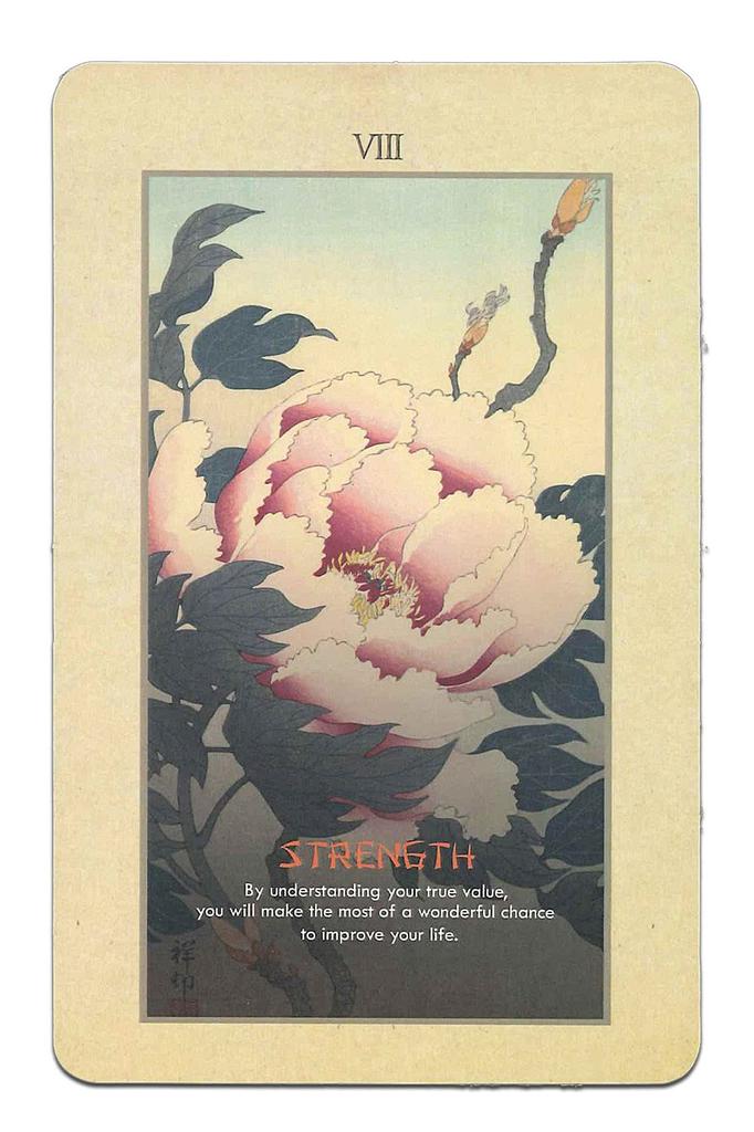 Nichiyu Tarot Waite Fortune Telling Direct Import from the Koson Tarot Arcana Includes Japanese Instruction Manual and Flower and Bird 22-Card Cards,