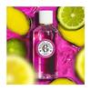 Roger &amp; Gallet Gingembre Eau Parfumée Bienfaisante 100ml