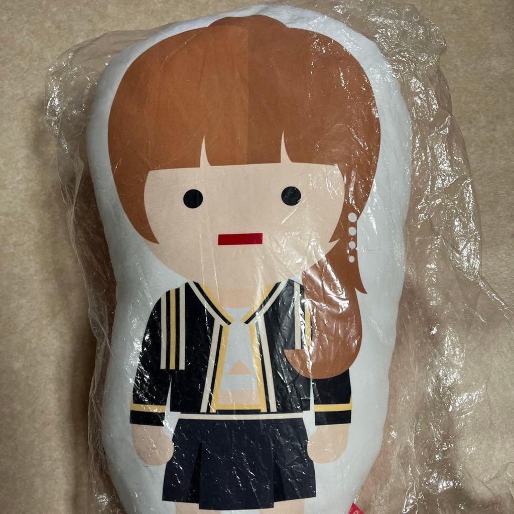 [USED] TWICE Chaeyoung Character Cushion Dudun-i