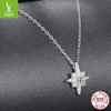 D Color Shining Moissanite Mango Necklace Cross-Border Personalized Versatile S925 Sterling Silver Star Necklace