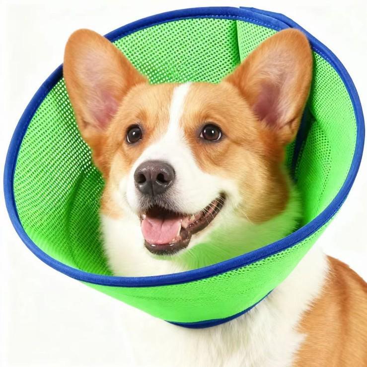 Elizabethan Pet Collar: Protective, Anti-Lick/Bite/Scratch Neck Ring for Cats & Dogs