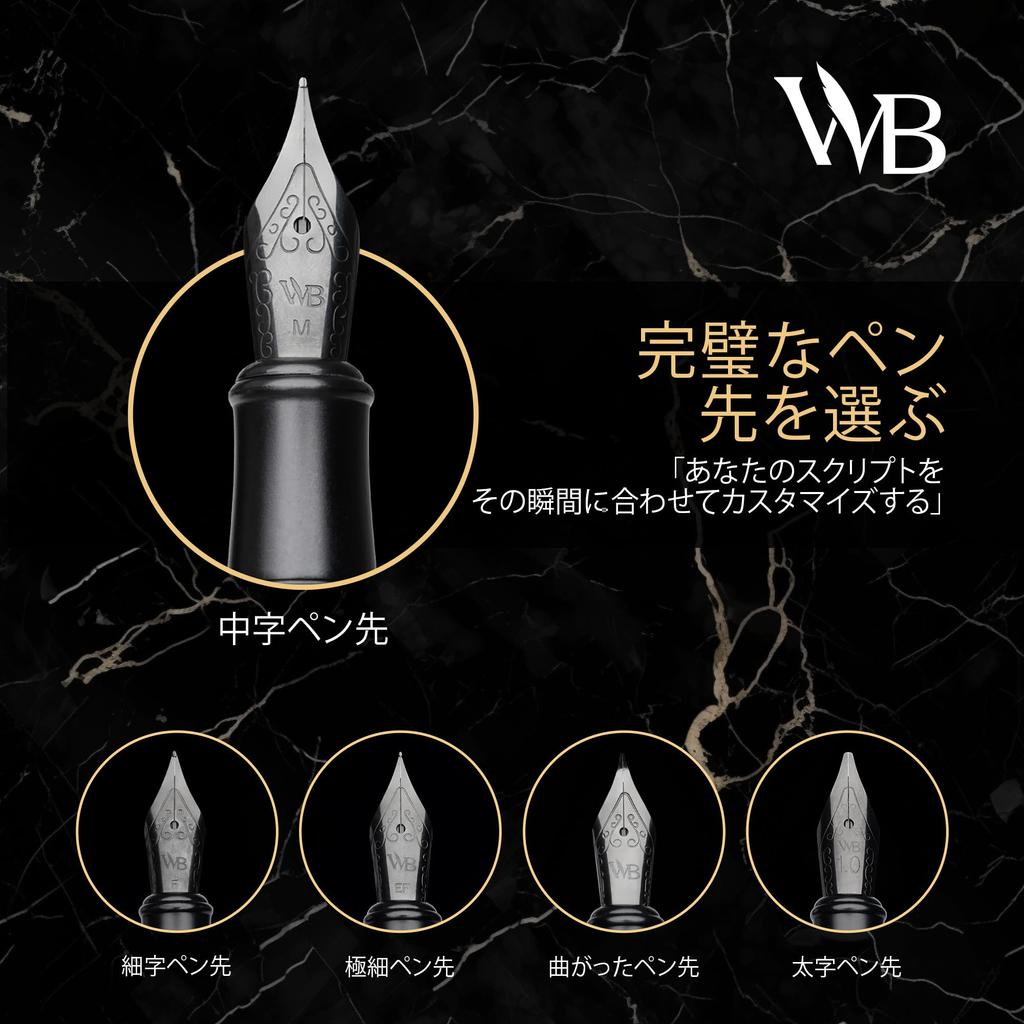 Wordsworth Black Fountain Pen Fine 24 Ink Ink Refill Converter Gift Unisex & Set, Nib, Cartridges, & Box, Calligraphy, [All Black],