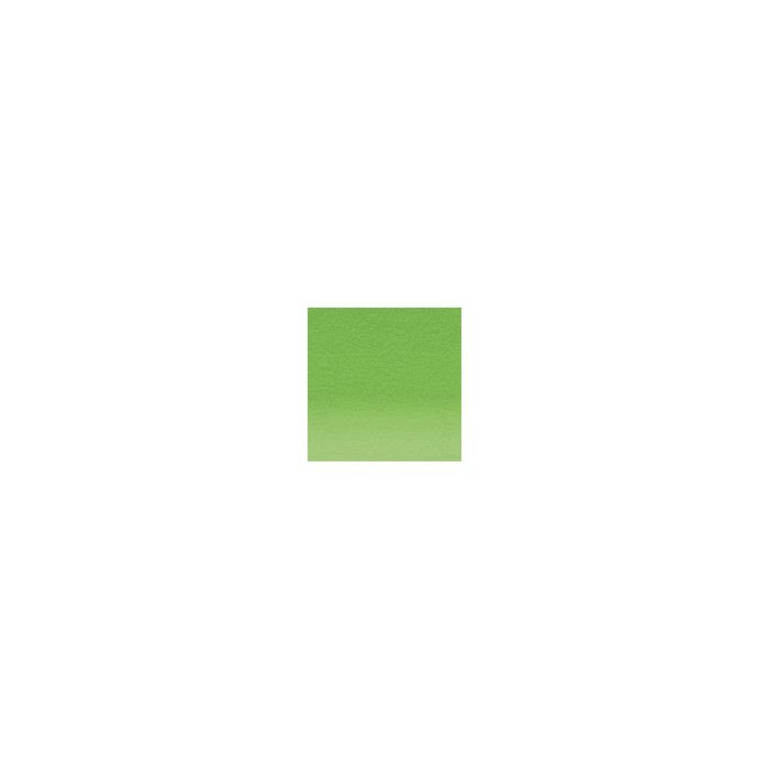 Crayon de couleur Derwent Artists Herbe verte 4700