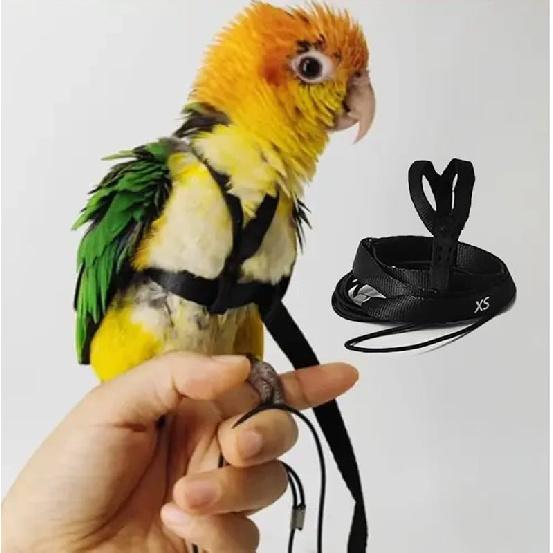 Adjustable Bird Harness with 78.7 Inch Leash, Outdoor Flying Training Rope Kit for Bird Parrots, Parrot Flying Rope Straps Outdoor Training Traction